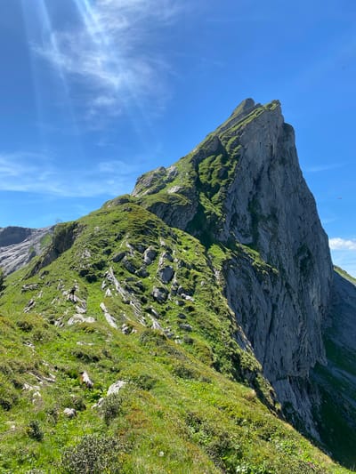 A low-angle, wide shot captures a dramatic mountain landscape under a clear blue sky. The orientation of the image is vertical, with the mountain face dominating the right side and the sky occupying the left. The mountain is rugged and steep, with large grey rock formations interspersed with patches of vibrant green grass and moss. The grass grows in thick clumps, clinging to the rocky slopes and creating a textured surface.

The scene suggests a sunny day, possibly late morning or early afternoon, given the bright sunlight casting shadows on the mountain. The sky is a brilliant blue, with a few wispy white clouds streaking across it. A small, orange object, possibly a paraglider, is visible high in the sky above the mountain, suggesting recreational activity in the area.

The foreground shows more lush green vegetation, with smaller rocks and some wildflowers scattered among the grass. The overall impression is one of a wild, natural, and somewhat imposing mountain environment. The image evokes a sense of awe and the vastness of nature. There is no visible text in the image. The location context indicates this is Brienz (BE), Switzerland, a region known for its mountainous terrain and outdoor activities.