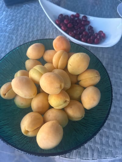 A bowl of apricots is displayed on a woven textured surface. The bowl is a dark green, transparent glass with a ridged pattern. The apricots are a light yellow to orange color and are round with a distinctive seam running down one side. They are piled high in the bowl. To the left of the apricot bowl is a white ceramic dish filled with small, dark red berries, possibly cranberries or pomegranate seeds. The scene appears to be outdoors, possibly a patio or garden table, with a hint of sunlight casting shadows. The overall impression is a close-up view of fresh fruit, likely prepared for a meal or as a snack. There is no visible text in the image.
