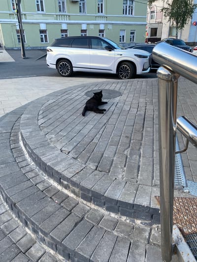 A black cat is lying on a circular stone-paved area with several steps. The cat is in the center of the paved area, facing away from the camera. The stone paving is made of gray rectangular bricks laid in a circular pattern. In the background, a white SUV is parked on the street. To the left of the SUV, a light green building with white trim and windows is visible. To the right of the SUV, another building and a tree can be seen. A metal railing is in the foreground, obscuring part of the scene. The image appears to be taken on a sunny day, as indicated by the shadows. The location is identified as Cherepovets, Russia, based on external information.
