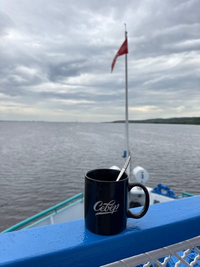 A black mug with the white Cyrillic word "Север" emblazoned on it sits on a bright blue railing. A silver spoon is inside the mug. The mug is on the deck of a vessel, with the vast expanse of a body of water stretching out to the horizon under a cloudy sky. In the background, a red flag flutters from a flagpole on the ship. The water appears choppy, and the sky is overcast. The railing is wet, suggesting recent rain. The scene is tranquil and evokes a sense of quiet contemplation while traveling on the water. The location is not specified in Menzelinsk, Russia.