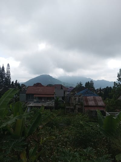 The image displays a residential landscape in Kondha, India, under an overcast sky dominated by thick grey clouds. The upper half of the frame features a large, forested mountain range partially obscured by mist or low clouds. The midground contains a cluster of houses nestled amidst dense vegetation. A multi-story house with a red-tiled roof and light-colored walls is prominent in the center-left. Adjacent to it on the right stands a dilapidated two-story structure with exposed concrete walls, partially visible framing, and a blue and rusty corrugated metal roof. Other residential buildings with varying roof colors (red, grey, purple) are visible further back. The foreground is heavily populated with lush green vegetation, including large banana plant leaves and various other shrubs and trees. Tall, slender pine trees are visible on the far left and right edges. No individuals or specific actions are discernible. The lighting is diffused, consistent with an overcast day.