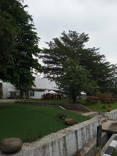 The scene depicts an outdoor environment in Cianjur, Indonesia, under an overcast sky. In the foreground, a rough concrete retaining wall runs horizontally, featuring a dark drainage channel with black and yellow striped posts. Two large, smooth, rounded boulders are positioned on the concrete and a patch of vibrant green artificial turf to the left. A small, dark metal cage rests on the artificial turf near the center.
The midground features an elevated landscaped area with natural grass and several large deciduous trees, one prominently centered, another on the far left, and more in the background. A section of reddish-leafed shrubs is visible to the right. Concrete steps lead upwards from the foreground wall to the midground level.
In the background, a multi-story white building with a flat roofline is visible. A dark railing runs along the rooftop. Attached to the left side of the building is a small, open-fronted kiosk or stall with a white canopy, displaying text suggestive of a coffee vendor. In front of the building, centrally located in the midground, is a large, three-dimensional sculpture or sign constructed from red-stained wooden blocks, accompanied by a white patio umbrella. No individuals are discernible in the image.