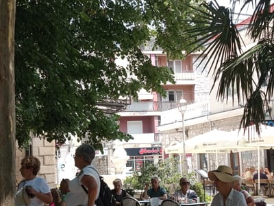 This media file depicts an outdoor scene at a cafe on a sunny day, possibly in Trebinje, Bosnia and Herzegovina, judging by the architecture and signage. The image is framed by lush green foliage from trees and palm fronds, suggesting a warm climate and ample shade.
In the foreground, several people are visible. On the left, two women are standing, seemingly engaged in conversation. One woman, with short curly hair, holds a phone and wears a white t-shirt. Next to her, another woman, also in a white t-shirt, is partially visible from behind. Further back, a group of people are seated at tables, enjoying drinks and conversation. A man with gray hair and a green polo shirt is seated at a table, looking towards the camera. To his right, a woman wearing sunglasses and a light-colored shirt sits. On the far right, a person in a wide-brimmed hat is in focus, facing away from the camera.
In the mid-ground, several buildings with light-colored stone facades and balconies are visible. One building features a store with a prominent "Obuća" sign, which translates to "Shoes." Another building has a pink facade with balconies and white shutters. Outdoor umbrellas, some with "TUBORG OPEN TO MORE" text, provide shade for cafe patrons. Street lamps with intricate designs are also present, adding to the ambiance of the location. The overall atmosphere appears relaxed and leisurely, typical of a cafe setting on a pleasant day.