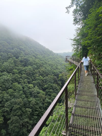 A woman walks on a metal footbridge that extends along a steep, forested mountainside in Satsiskvilo, Georgia. The footbridge has a grated metal surface and is lined with dark brown metal railings. The woman is wearing a light-colored t-shirt with a graphic print and blue denim shorts. She is walking away from the camera towards a viewing platform with a covered area and benches, which is visible further down the bridge. The mountainside is densely covered in lush green trees, and the scene is enveloped in a light fog or mist, particularly in the distance. The sky is overcast and white. The overall impression is one of a natural landscape with man-made infrastructure providing access for visitors.