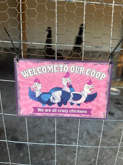 The image depicts a sign attached to a wire fence. The sign has a pink background with the words "WELCOME TO OUR COOP" in white lettering rotated 90 degrees to the right. There are cartoon illustrations of chickens stacked on top of each other. To the right of the chickens, on a purple banner, it reads "We are all crazy chickens". The sign appears to be secured to the fence with cable ties. The fence is made of wire and the background is blurred and unclear. The location is not evident from the image. There is no indication this is in Pliska, Bulgaria.