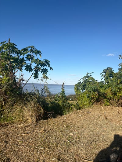 The image depicts a view overlooking the Río de la Plata in Vicente López, Argentina. The scene includes a clear blue sky partially obscured by tree foliage in the foreground and the upper-right. To the right of the frame is dried grass. In the middle ground, the Río de la Plata extends to the horizon, with a faint line indicating the opposite shore. There are no people visible in the scene. The interaction primarily involves the natural elements of sky, water, and vegetation. A shoe is visible in the upper right.