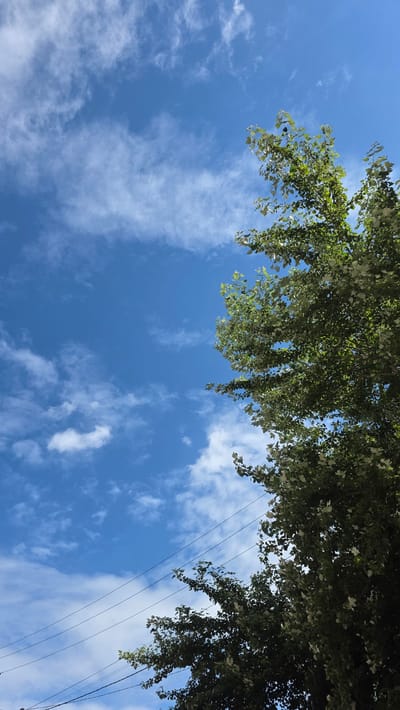 The image displays a view looking upwards towards a bright blue sky filled with wispy white clouds. Overhanging from the top of the frame are the green leaves of a tree, some of which are silhouetted against the sky. In the right portion of the image, several thin black wires are visible, stretching diagonally across the frame. These wires appear to be power lines, suggesting an outdoor, possibly urban or suburban, setting. The lighting indicates it is daytime, likely under sunny conditions given the clarity of the sky and the contrast of the leaves. There are no people or specific objects other than the natural elements and the utility lines. The overall scene evokes a sense of a clear, possibly warm day. There is no visible text in the image.