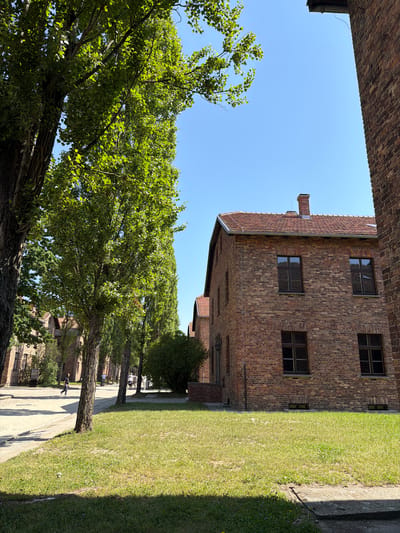 The image depicts a street scene in Oświęcim, Poland, likely within the grounds of the former Auschwitz-Birkenau concentration camp. The architecture features brick buildings with red tile roofs, characteristic of the period and location. Tall, leafy trees line a paved walkway, casting shadows on the grassy areas. In the background, several people are walking along the path, some appearing to be tourists or visitors, given their attire and demeanor. The sky is clear and blue, indicating fair weather. The overall atmosphere is one of historical significance, with the preserved buildings and trees evoking a sense of the past.