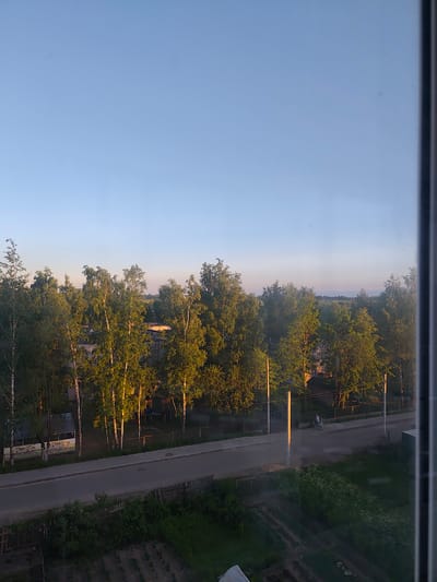 The image depicts a scene in Staritsa, Russia, featuring a row of birch trees along a paved road. In the background, several buildings are visible, some of which appear to be houses. A few people can be seen walking on the side of the road. The environment suggests a rural or semi-rural setting, possibly a small town or village, with a clear sky and sunlight illuminating the trees. The perspective is from a window, indicated by the framing on the right side of the image.