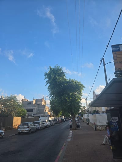 The image shows a street scene in Herzliya, Israel, likely during the day. A tree stands prominently in the middle of the frame, its foliage casting shadows on the asphalt road. Several cars are parked along the side of the street, with buildings visible in the background. A bus stop shelter is present on the right side of the image, with at least two individuals seated within it. A bus schedule sign with Hebrew text is attached to a pole near the bus stop. Power lines crisscross the sky. The sky is blue with scattered clouds.