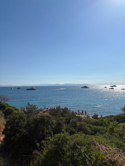 The image depicts a coastal scene on a clear, sunny day. The foreground is dominated by lush green vegetation, with dry grasses and branches in the lower right corner. Beyond the vegetation lies a beach area with a crowd of people, many of whom are standing or sitting on the sand. Some individuals are visible in the turquoise water.
The sea stretches out to the horizon, with several yachts and boats scattered across its surface. The water is calm and reflects the sunlight, creating a shimmering effect. In the distance, a hazy mountainous landscape can be seen against the bright blue sky. The overall impression is one of a popular summer destination. The location is Vouliagmeni Municipal Unit, Greece.
