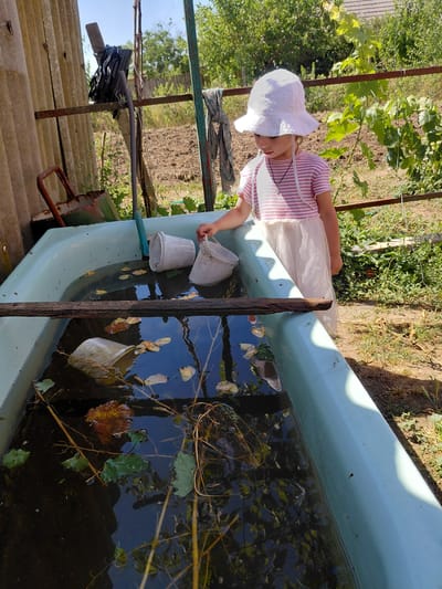 A young child wearing a white sun hat and a pink and white striped shirt with a white skirt is playing with two buckets in a bathtub filled with water. The bathtub appears to be set up outdoors, possibly in a garden or yard, with vegetation visible in the background. Sunlight suggests it is daytime, and the weather seems to be fair. The water in the tub is dark and murky, with leaves floating on the surface and submerged plant material. The child is holding one of the buckets and seems to be pouring water or interacting with the contents of the tub. The setting includes a rustic fence and some corrugated metal roofing, contributing to a rural or semi-rural atmosphere. The child's focus is on the task at hand, suggesting engagement and possibly curiosity.