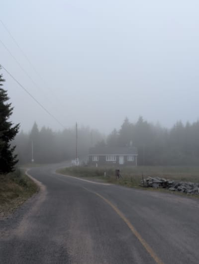 An isolated, single-story dark brown house with white trim and windows sits on a grassy field bordering a dense forest. A paved road curves around the field and forest, with a yellow line marking the center. Utility lines stretch across the foggy sky. The scene is bathed in a soft, diffused light due to the heavy fog.