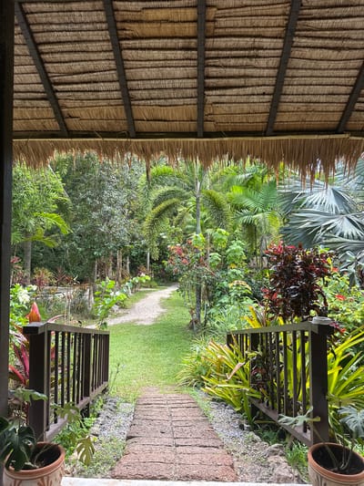 This image depicts a tranquil tropical garden pathway leading away from a covered porch. The porch roof is constructed of thatched palm fronds supported by dark wooden beams. A wooden railing borders the pathway on both sides, made of dark vertical posts and a horizontal top rail. The pathway itself is paved with reddish-brown rectangular bricks laid in a stretcher bond pattern. Beyond the railing, lush green grass covers the ground. The garden is filled with a vibrant array of tropical plants, including various palm trees, large-leafed plants with yellow and green foliage, and bushes with dark red and green leaves. A winding dirt path is visible in the distance, disappearing into the dense greenery. The scene is set in Tambon Khlong Thom Nuea, Thailand, suggesting a warm, humid climate conducive to such abundant plant growth. There are no people visible in the image.