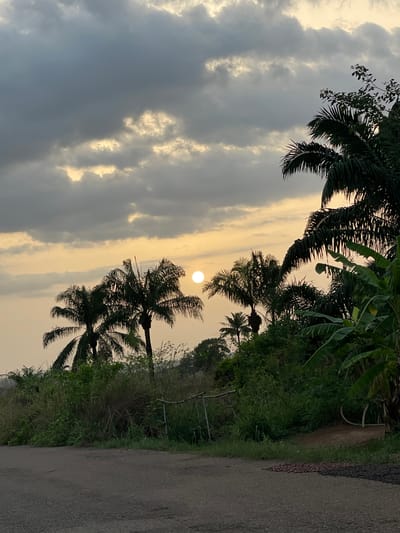 The image depicts a road in Agba Umana, Nigeria, at sunset. The sky is filled with grey clouds with golden hues around the sun. Palm trees line the road, silhouetted against the light. Lush green vegetation is also visible alongside the road.