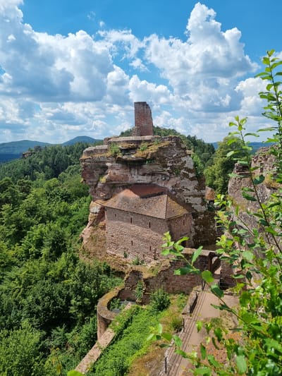 This is a detailed, forensic, matter-of-fact description of the image. The image captures a panoramic view of the Dahn Castle (Burg Dahn) in Dahn, Germany, on a sunny day with dramatic clouds. The castle is a medieval ruin perched atop a towering sandstone rock formation. **Subjects and Objects:** * **Castle Ruins:** The primary subject is the extensive ruins of Dahn Castle. Key structures visible include: * A substantial stone building with a red-tiled roof, nestled into the side of the rock. It features multiple windows and appears to be well-preserved compared to other parts of the castle. * A prominent, weathered brick tower or remnant of a tower stands on the highest point of the rock formation. * Various other stone walls, ramparts, and remnants of fortifications are integrated into the rocky landscape. * A pathway, partially lined with a dark metal railing, winds its way along the edge of the rock formation. * A small, older-looking building with a dark roof is visible nestled between two rocky outcrops further into the complex. * **Natural Landscape:** * The castle is situated on a sheer, reddish-brown sandstone cliff face, characterized by rough textures and mossy patches. * Dense, lush green forest dominates the surrounding area, extending as far as the eye can see. The trees are a mix of deciduous and coniferous varieties. * In the background, rolling hills covered in forests recede into the distance. * The sky is a vibrant blue, populated by large, fluffy white cumulus clouds, some of which are casting shadows on the landscape. * **Vegetation:** * In the foreground and right side of the image, vibrant green foliage, likely branches and leaves from a tree or shrub, partially obscure the view. These leaves are illuminated by sunlight. * Green grass and smaller plants grow along the edges of the pathways and on the grassy slopes below the castle. **Environment and Setting:** * **Location:** Dahn Castle, Dahn, Germany. * **Time of Day:** Daytime, indicated by the bright sunlight and clear blue sky with prominent clouds. * **Weather:** Sunny with scattered, voluminous cumulus clouds. * **Terrain:** Steep, rocky cliff face with forested hills in the background. * **Atmosphere:** The scene conveys a sense of historical grandeur combined with the wild beauty of nature. The scale of the rock formation and the surrounding forest is impressive. **No people are visible in the image.** The focus is entirely on