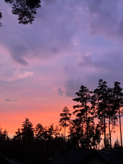 The image captures a dramatic sunset over Hostomel, Ukraine. The sky is a gradient of colors, transitioning from a deep purple and grey on the left to a vibrant peach and orange on the right, indicative of twilight. Silhouetted against this colorful backdrop are tall pine trees, their dark forms creating a stark contrast with the illuminated sky. The trees are densely packed in the right half of the frame, with some branches reaching out towards the left. The tops of some of the trees appear to be catching the last rays of sunlight. In the far right of the image, the dark roof of a building is visible, suggesting a residential or built-up area. The overall mood is serene and awe-inspiring, evoking the beauty of nature at the end of the day. The lighting suggests it is either sunrise or sunset. No text is visible in the image.