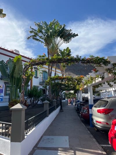 The image shows a street scene in Lomo Quiebre, Spain. The location is a narrow street with a white sidewalk and a white curb on the right. There are two palm trees on the left side of the street. The palm trees are in front of a white building with a red tile roof. On the right side of the street, there is a white pergola covered in vines. There are several cars parked under the pergola. The cars are a dark blue SUV, a red SUV, and a silver SUV. The cars are parked in the shade of the pergola, and there is a group of people standing near the front of the pergola. The image is taken from a low angle.