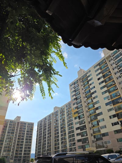 The image captures a view looking up through the branches of a leafy tree and under the eaves of a traditional wooden structure. In the background, two tall, modern apartment buildings dominate the scene against a bright blue sky with scattered white clouds. Sunlight filters through the tree's foliage, creating a lens flare effect. The apartment buildings are cream-colored with yellow accents around some of the windows and balconies, and many have visible air conditioning units mounted outside. The overall impression is one of a bright, sunny day in a residential urban area. The location is Eumseong-eup, South Korea.