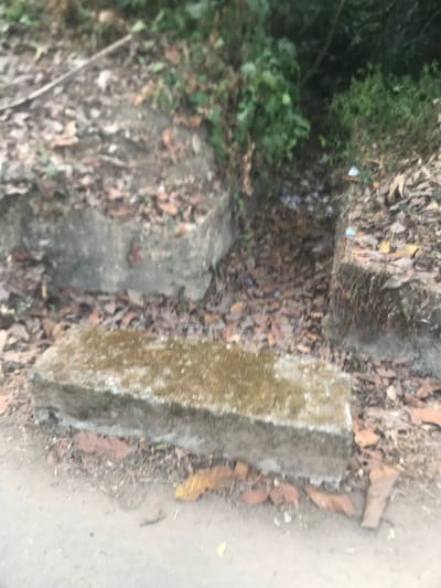 This outdoor image, rotated 90 degrees clockwise from its original orientation, depicts a ground-level view of an area in Umudike, Nigeria. No people or animals are visible in the scene.
The primary subjects are several concrete blocks, likely serving as steps or the edging of a drainage channel. The most prominent concrete block, positioned in the mid-right, is light grey and heavily discolored with greenish-brown moss and algae growth. Behind it and to the left, a smaller, darker concrete block is partially visible, with further indistinct concrete structures blending into the background.
The ground surface is largely covered by a dense layer of dried brown leaves and dirt, particularly around and between the concrete elements. On the left side of the frame, there is an abundance of lush green foliage and dense bushes, indicating thick vegetation. To the far right, a lighter, smoother surface is visible, suggesting the edge of a path or an open ground area.
Small, light-colored pieces of litter, possibly plastic wrappers or paper, are scattered among the fallen leaves in the background, near the dense vegetation. The lighting is diffused, implying daytime conditions, possibly overcast or within a shaded area. There is no specific activity or event taking place, and no visible text or discernible emotions are present. The scene conveys a somewhat rustic and natural outdoor environment, showing signs of both natural growth and human modification/presence.