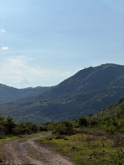 A dirt road curves from the lower left of the frame into a sparsely vegetated area with dry grass and scattered bushes. Beyond this foreground, a series of lush, verdant hills rise in successive layers, their slopes densely covered in dark green trees. The sky above is a clear, pale blue with a few wispy white clouds. The overall scene depicts a natural landscape, likely in a rural or mountainous area of Cam Lam, Vietnam.