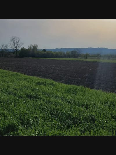 The image depicts an agricultural landscape in Bielawska Wieś, Poland. In the foreground, a lush green field of grass occupies the lower portion of the frame, extending diagonally from the bottom left towards the center. Adjacent to the grass field, a dark, tilled soil field occupies the mid-ground. The soil appears freshly plowed, with visible furrows. In the background, a line of trees and bushes separates the agricultural fields from a gently sloping hill or mountain range. The sky is overcast with a pale, hazy light. There are no people or animals visible in the scene. The overall impression is one of a rural, agricultural setting under a diffused sky.