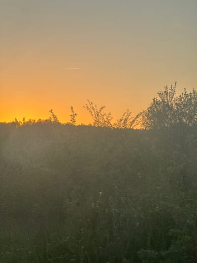 The image depicts a landscape divided into two distinct areas. The left side shows a gradient of light orange and yellow, possibly indicating a sunrise or sunset. A white contrail from an aircraft is visible in the sky. The right side of the image shows a dark area, possibly dense vegetation or trees. The line separating the two areas appears to be a treeline. The image is rotated 90 degrees. The location in the city of Erden, Bulgaria is not discernible from the provided image.