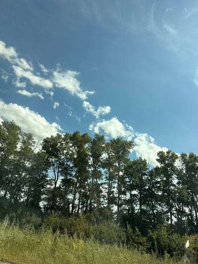 The image shows a landscape scene under a blue sky with scattered white clouds. A line of trees with green foliage forms the middle ground, stretching across the frame. In the foreground, there is a dense growth of green grass and some low-lying shrubs. The sky occupies the upper portion of the image, with the clouds appearing wispy and elongated in some areas. The overall impression is of a rural or natural environment. The location of Жаңаауыл, Kazakhstan is not depicted or inferable from the visual information present in the image.
