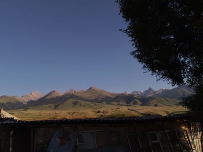 The image depicts a panoramic view of the landscape near Bash-kaindy, Kyrgyzstan. In the foreground, a dilapidated, low-rise structure with a corrugated metal roof and visible barbed wire runs across the top. The building's walls appear to be constructed from a rough material, with some sections showing exposed wire mesh and what looks like discarded corrugated metal sheets. Several windows, some with broken panes and visible mesh, are present.

Beyond the structure, the landscape transitions into rolling green hills that recede towards a majestic mountain range. The mountains exhibit varied terrain, with some slopes covered in dark green coniferous forests and others displaying lighter green, grassy expanses. The peaks of the mountains are rugged and appear to be made of rock, with some snow caps visible on the highest points. The sky is a clear, pale blue, indicating daytime, and a large, dark tree silhouette frames the right side of the image, its leaves and branches partially obscuring the view of the sky and mountains. The overall impression is one of a rural or semi-rural setting with a dramatic natural backdrop.