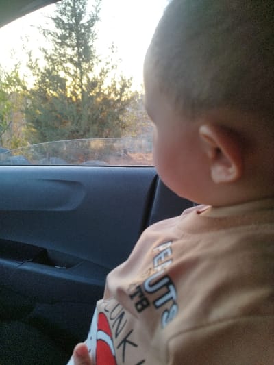 This image, set in al Burj, Palestinian Territory, depicts a young child seated inside a vehicle, viewed from the rear right. The child's head is turned to the left, gazing out a partially open window. They wear a light brown long-sleeved shirt with partially visible black and white text, including "PEANUTS," and a red and white design on the lower left. The dark gray interior door panel of the vehicle is visible below the window. Outside, a bright, low-angle light source, consistent with sunlight, illuminates a natural environment composed of dense green and brown foliage, including trees and ground cover.