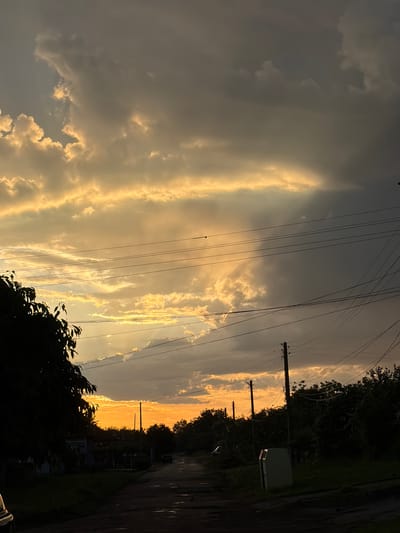 The image shows a street view in Kozlovets, Bulgaria, at sunset. The sky is filled with golden, cloud-streaked light breaking through darker cloud formations. Power lines stretch across the frame. A paved road runs along the right side, bordered by trees and some structures. One light-colored, possibly metal, structure is visible on the right.