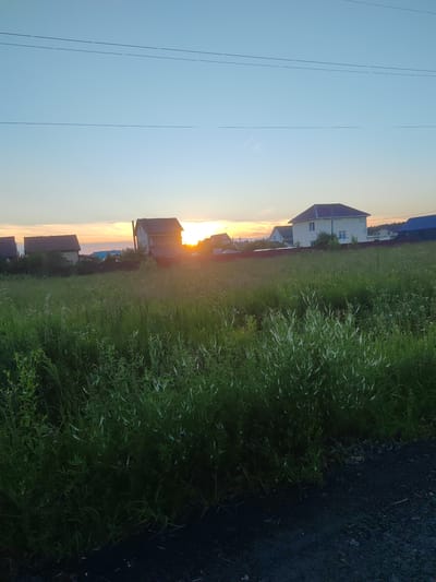 The image depicts a rural landscape at sunset in Zhal'skoe, Russia. In the foreground, a dense field of green grass and wildflowers stretches towards the middle ground. Beyond the field, several houses are visible, silhouetted against the warm hues of the setting sun. The sky is a clear gradient of light blue and orange, with two power lines stretching horizontally across the upper portion of the frame. The overall scene conveys a sense of tranquility and a peaceful evening in a suburban or rural setting.