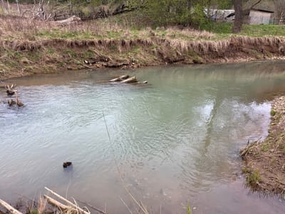 This media file presents a tranquil, rural scene of a river or stream flowing through a natural landscape, characteristic of Pavlovka, Russia, likely during early spring. The water exhibits a varying color, appearing as a milky grayish-green in the main current, transitioning to a browner, murkier tone closer to the banks. Gentle ripples are visible across the water's surface.
The riverbanks are steep and show signs of erosion, with exposed earth and roots. They are covered predominantly with dry, light-brown grass from the previous season, interspersed with patches of new, vibrant green growth. Numerous pieces of wood, including logs and branches, are scattered along the banks and partially submerged in the water, indicating natural debris.
On the higher left bank, the landscape is densely vegetated with a mix of deciduous trees and bushes. Some trees still appear bare, while others are just beginning to show the first signs of green leaves. Faint outlines of weathered wooden structures, possibly remnants of fences or old buildings, can be discerned blending into the background foliage. The right bank is also lined with trees, many of which are already leafing out. Behind these trees, a rustic, light-colored building, possibly a shed or an outbuilding with a dark roof, is partially visible, along with a simple wooden fence.
The scene conveys a sense of natural tranquility and ruggedness. The time of day appears to be daytime, likely overcast, as suggested by the soft, diffused lighting and the absence of harsh shadows. There are no people visible, nor are any specific activities taking place. No discernible text is present in the image.