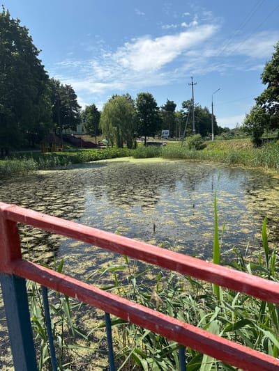 The image captures a body of water, likely a pond or small lake, covered with a dense layer of green algae or duckweed. Tall green reeds and grasses grow along the edge of the water. In the foreground, a red and blue railing is visible, suggesting a walkway or viewing platform. In the background, there are trees, a small wooden gazebo, a building, and utility poles with power lines under a bright blue sky with scattered white clouds. The scene appears to be a public park or recreational area in Pastavy, Belarus, on a clear, sunny day.
