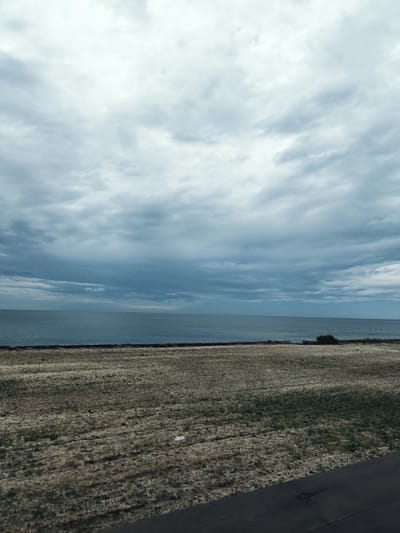 A horizontal wide shot captures a cloudy, overcast sky over the calm sea and a grassy field. The sky is filled with dense, grey clouds, with some lighter patches indicating potential breaks in the overcast. The sea is a deep blue-grey, appearing flat and calm with a clear horizon line. The foreground is a field of dry, sparse grass with patches of darker green showing in some areas, suggesting it's either a meadow or a poorly maintained park. A dark asphalt path runs diagonally across the lower right corner of the image. A few small dark objects, possibly birds or debris, are scattered on the field and near the water's edge. The overall impression is one of a somber, natural landscape under a moody sky. The location is identified as Skadovsk, Ukraine, suggesting this is a view of the Black Sea coast.