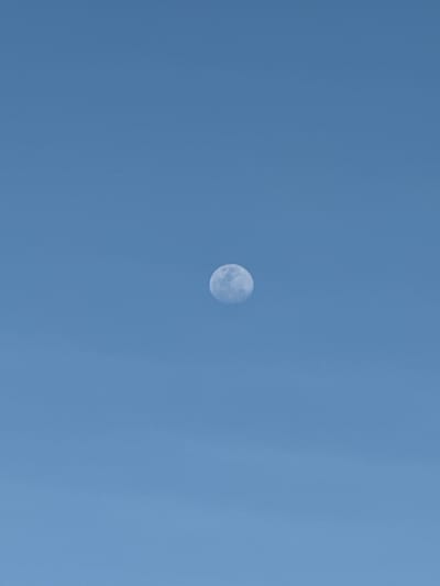 The image shows a half moon in a clear blue sky. There are no other objects or people visible. The location is not discernible from the image.