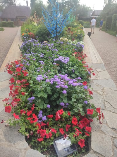 In the city of Baisuak, Kazakhstan, a vibrant flower bed lines a stone-paved walkway. Red petunias and purple ageratum flowers are in full bloom, creating a striking contrast against the greenery. In the background, two men walk along the path, one in a white t-shirt and khaki shorts, the other in a blue t-shirt and dark shorts. A rustic wooden structure with a brown roof is visible to the left, and a decorative blue tree sculpture stands among the flowers. A floodlight with "20W IP66" labeling is placed at the base of the flower bed. The scene appears to be an outdoor public space, possibly a park or garden.