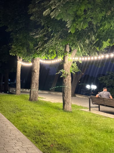 This image depicts a park scene at night, possibly in Novokuli, Russia. The foreground is dominated by the lush green leaves of a large tree, with visible branches and trunks extending into the frame. A string of warm, illuminated lights is draped around some of the tree trunks, adding a festive atmosphere.

Further back, a paved walkway runs alongside a well-maintained grassy area. On the walkway, a man is seated on a wooden park bench, facing away from the camera and towards the dark night sky. He is wearing a grey t-shirt. Beside him, a street lamp with two glowing lights provides additional illumination.

The overall impression is one of a peaceful evening in a park, with the ambient light from the string lights and street lamp creating a soft glow. The presence of the trees, grass, and seating suggests a public outdoor space designed for relaxation and enjoyment. The time of day is clearly night, and the weather appears calm, with no indication of rain or wind. There is no visible text in the image.