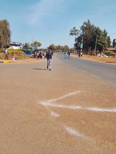A wide, sunlit road dominates the scene with a man walking towards the camera. White arrow markings are visible on the road surface. The roadside includes trees and pedestrian activity. On the left, a structure appears to house a business. The sky is clear and blue. The scene suggests a rural or suburban environment.