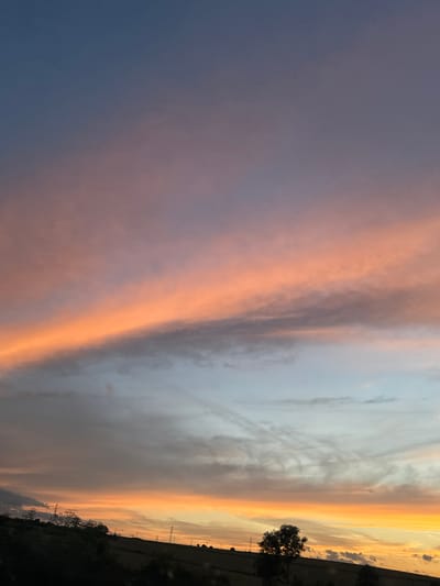 This is a vertically oriented, full shot of a sunset over Zvegor, Bulgaria. The sky is painted with broad strokes of color, transitioning from deep blue and purple on the left to soft pink and fiery orange on the right. Wispy clouds catch the fading sunlight, creating a dramatic gradient of light and shadow. On the right side of the image, a dark silhouette of trees and a fence line runs along the horizon, with a few utility poles visible in the distance. The overall mood is serene and awe-inspiring, capturing the fleeting beauty of twilight. No people or text are visible in the image.
