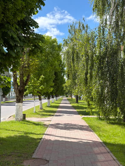 The image shows a long, straight pathway in Valozhyn, Belarus. The pathway is made of red and gray bricks and is bordered by green grass on both sides. Trees line the pathway, casting shadows on the bricks. A street runs parallel to the pathway on one side. The sky is visible between the trees, showing blue sky and white clouds. The picture captures a sunny day in a park-like setting within the city.