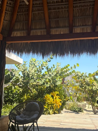 The image shows a partial view from under a thatched roof, likely a palapa, looking out onto a sunny outdoor scene. To the left, the interior of the thatched roof is visible, revealing wooden beams and straw-like roofing material. A narrow strip of bright blue sky is visible between the edge of the roof and dense foliage.
The right side of the image is dominated by lush green vegetation, including trees with round leaves and other tropical plants. A partially visible wicker chair with a grey cushion sits on a wooden deck, suggesting an outdoor seating area. The wooden planks of the deck run parallel to the right edge of the image.
The overall impression is that of a tropical setting, possibly in El Jícaro, Mexico, with a focus on natural elements and outdoor leisure.