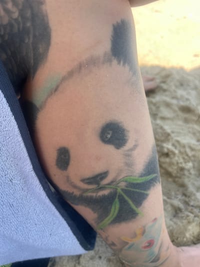 The media file is a close-up, high-angle shot of a person's tattooed arm, resting on a sandy surface. The tattoo appears to be a panda's face, with large black eye patches and ears. Green bamboo leaves are also visible, suggesting a naturalistic theme for the artwork. Part of another tattoo, possibly depicting a bird or fish with red eyes and yellow accents, is visible on the upper right portion of the arm.
The scene is set outdoors, with the sandy texture of the ground indicating a beach or a sandy area. A light-colored towel with a dark blue trim is partially visible at the bottom of the frame, suggesting the person might be relaxing by the water. The overall lighting suggests it is daytime, possibly sunny, given the bright highlights on the sand. No text is visible in the media file. The image captures a moment of relaxation, with the focus solely on the tattooed skin and its surroundings. The location context provided is Bliznatsi, Bulgaria, which is known for its coastal areas and beaches, aligning with the visual cues of sand and relaxation.