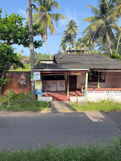 A low-angle, full outdoor shot captures the facade of a single-story building with a corrugated metal roof. The building is painted light pink and appears to be a commercial establishment, with "SEA HOUSE RESTAURANT MASSAGE CENTER" painted in red and black lettering on the lower part of the wall. A wide overhang shelters the entrance, which has two glass-paneled doors. Inside, there are two refrigerators or freezers. Various posters are displayed on the walls and on a utility pole to the left of the entrance. A brick wall borders the property on the left, with lush green vegetation growing along its base and in front of the building. Palm trees and other tropical foliage are visible in the background, suggesting a warm, possibly coastal, climate. The foreground features an asphalt road with sparse green grass and small white flowers along its edge. The sky above is clear and blue. The scene is static, with no people or animals visible. The overall impression is one of a small business in a tropical setting.