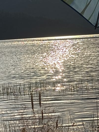 The image displays a body of water, likely a lake or a wide river, with sunlight reflecting off its surface, creating a shimmering effect. Thin stalks of grass or reeds are visible emerging from the water in the foreground and scattered throughout the middle ground. The upper portion of the image shows a dark, solid object, possibly part of an umbrella or awning, with a hint of a patterned fabric visible in the top right corner. The scene is set outdoors with natural light. This image was taken at the Batak Reservoir in Batak, Bulgaria.