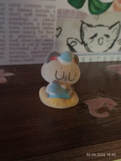 The image displays a close-up view of a small, fuzzy figurine of a cat sitting on a dark, textured surface. The figurine is light beige with gray ears and is wearing a light blue hat and a light blue sash. Its eyes are closed, and it has a serene expression. The cat is sitting on a yellow base that has a paw print design. In the background, partially visible, is a piece of paper with text printed on it, including the phrase "common types of meows." There are also some hand-drawn illustrations of cats on the paper. To the right of the figurine, on the textured surface, are two small, pink cutouts of what appear to be sea creatures, possibly from a sticker sheet. The lighting suggests it is daytime, possibly late afternoon or early evening. The text at the bottom right of the image, "30.06.2026 18:45," indicates a specific date and time. The overall scene is a still life, with the focus on the cat figurine and its immediate surroundings, suggesting a domestic or indoor setting. The mood is quiet and perhaps whimsical due to the toy.