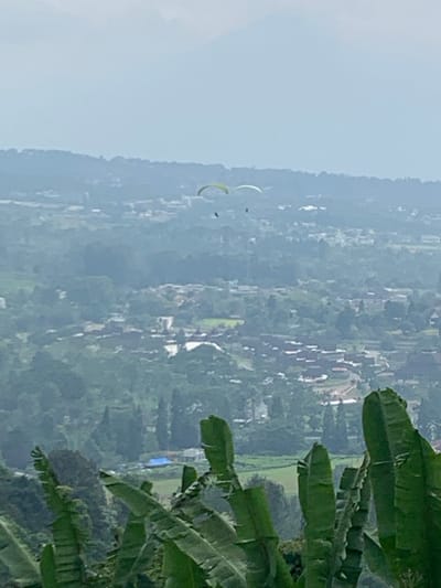 The image depicts an expansive aerial landscape scene from Puncak, Indonesia, observed under hazy atmospheric conditions. In the upper-mid section of the frame, two paragliders are airborne. The left paraglider features a light-green canopy, and the right paraglider features an off-white canopy; a single human figure is suspended beneath each. The midground and background reveal a sprawling, densely vegetated urban and rural landscape, characterized by numerous buildings with brown and red roofs, interspersed with evergreen trees. This topography includes hills and valleys. A faint mountain range is visible on the distant horizon through the atmospheric haze. The immediate foreground is occupied by multiple large, upright, green leaves, consistent with banana plants, partially obscuring the lower extremities of the frame.