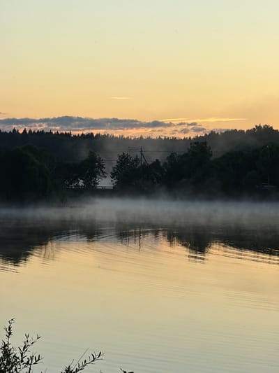 The image depicts a tranquil dawn scene at the lake in Satino-Russkoe, Russia. The sky is a soft gradient of pale yellow and orange, transitioning to a light blue at the top. A dense line of dark green trees forms the horizon, with hints of a forest beyond. Wisps of white mist hover over the surface of the calm lake, reflecting the muted colors of the sky. Gentle ripples disturb the water's surface, creating subtle distortions in the reflections of the trees and the mist. In the foreground, dark green foliage peeks in from the bottom left corner of the frame, adding a touch of natural detail to the serene landscape. The overall impression is one of peace and natural beauty at the beginning of a new day.