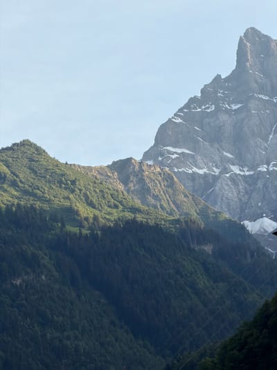 The image displays a vast mountain landscape under a clear sky. In the foreground, a dense forest covers steep slopes. Beyond the forest, progressively lighter green, treed hills rise, with rocky peaks and patches of snow becoming visible further into the background. The sky transitions from a pale blue at the top to a lighter hue near the horizon. The scene appears to be a natural panorama.