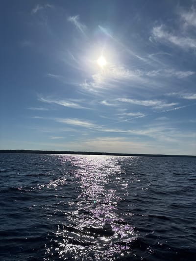 A wide-angle, landscape view captures a sunlit expanse of dark blue water. The sun, positioned in the upper center of the frame, is bright and slightly obscured by wispy white clouds that stretch across the clear blue sky. A band of dark green land, densely forested, forms a horizon line across the middle of the image. The water's surface is disturbed by small waves, and the sun's reflection creates a shimmering, sparkling path of light extending from the lower center towards the horizon. The scene is likely a natural outdoor setting, potentially a lake or large body of water, given the presence of the forest and the vastness of the water. There are no people or man-made structures clearly visible in the image.
